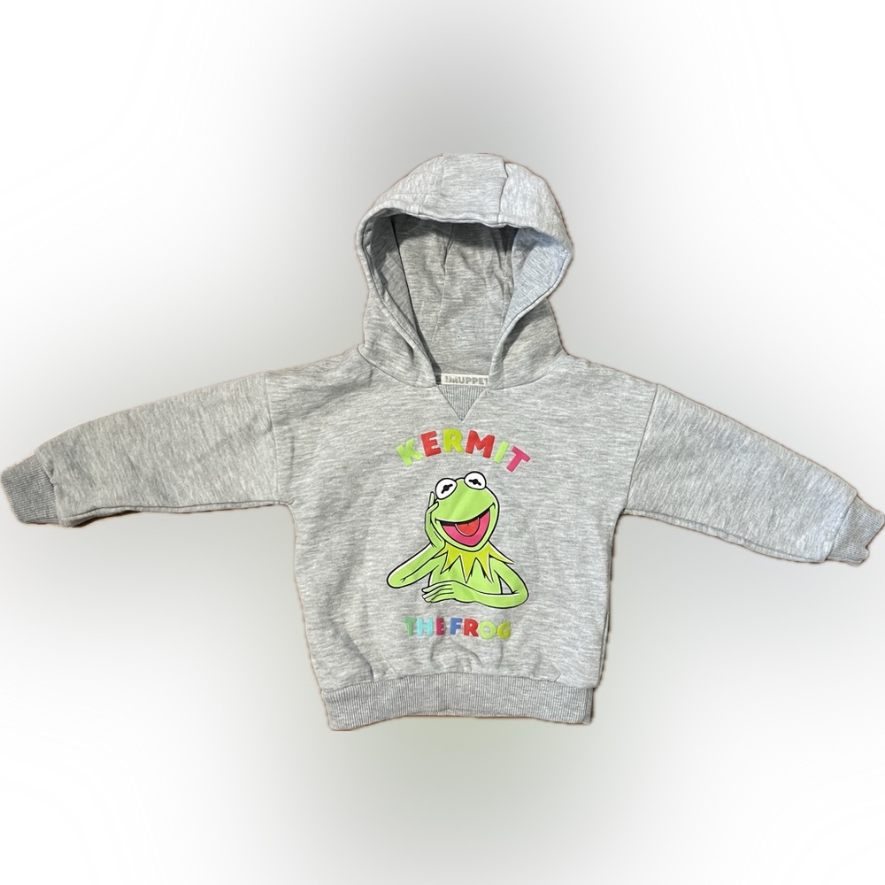 Gray Kermit the Frog Graphic Hoodie for 9-12 Month Olds
